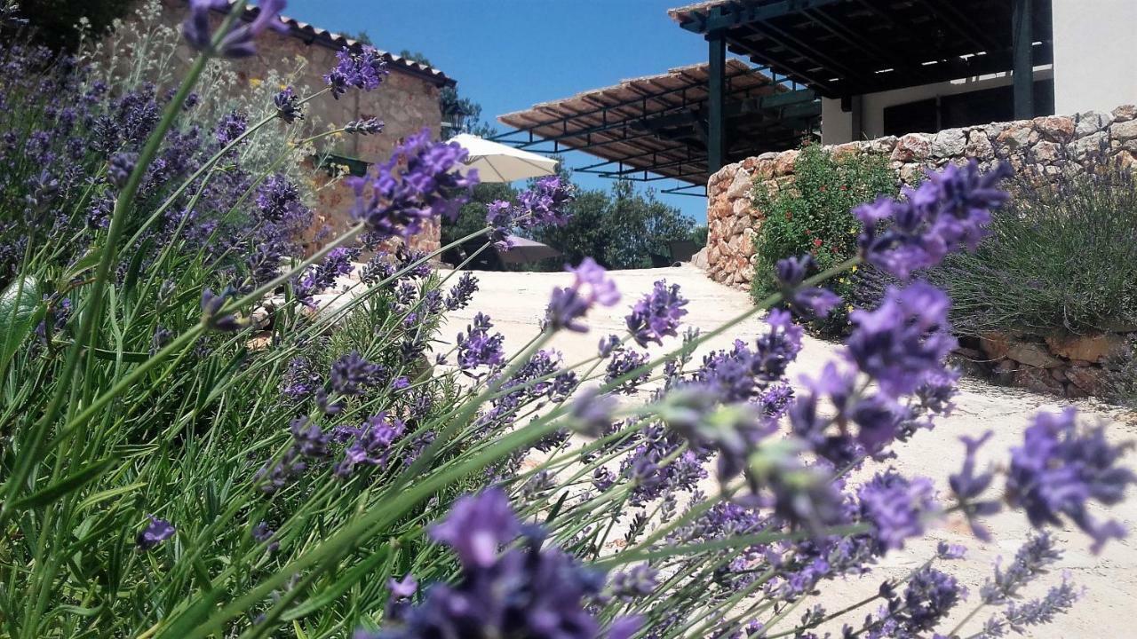 Lavender Hill Hvar Villa - Pool, Jacuzzi,Sauna,Bbq Stari Grad  Bagian luar foto