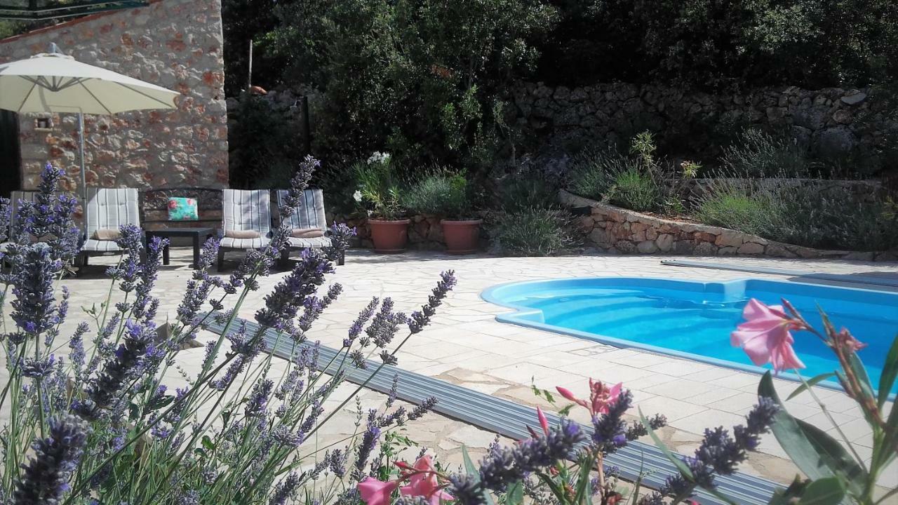 Lavender Hill Hvar Villa - Pool, Jacuzzi,Sauna,Bbq Stari Grad  Bagian luar foto